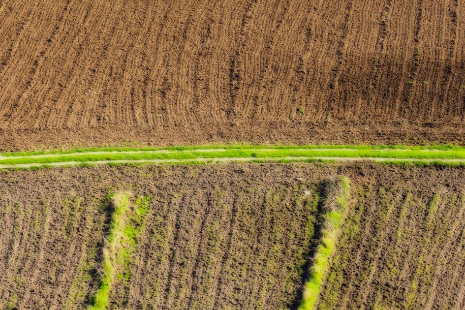 Piura: Sector agrario exige ayuda del Gobierno Central ante El Niño