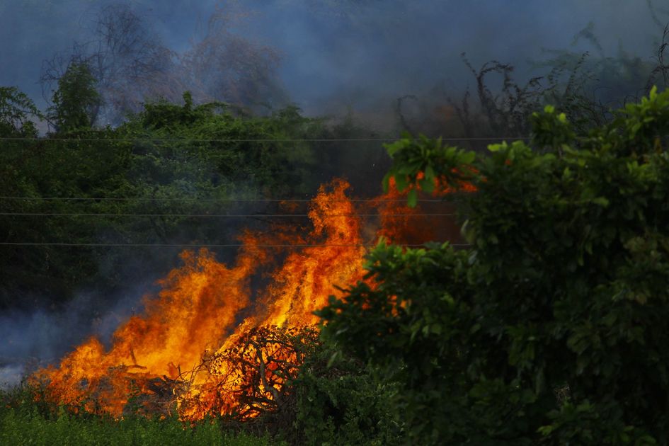 Incendio forestal en Áncash consume 150 hectáreas y complica el trabajo en Huaylas
