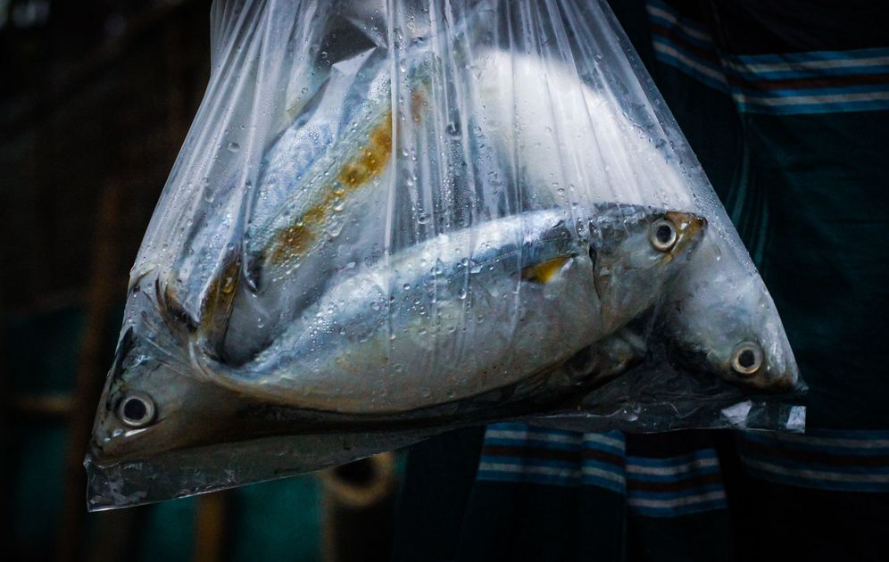 Depincri Sullana desmantela red ilegal: decomisan 60 toneladas de harina de pescado